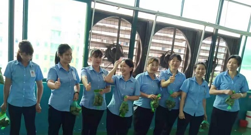黄瓜视频在线看新能源锂黄瓜视频WWWXY11APP厂家,向组装pack生产线发放端午福利